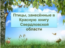 Красная книга Свердловской области (птицы)