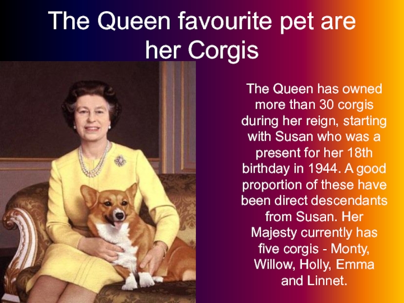 The Queen favourite pet are her CorgisThe Queen has owned more than 30 corgis during her reign,