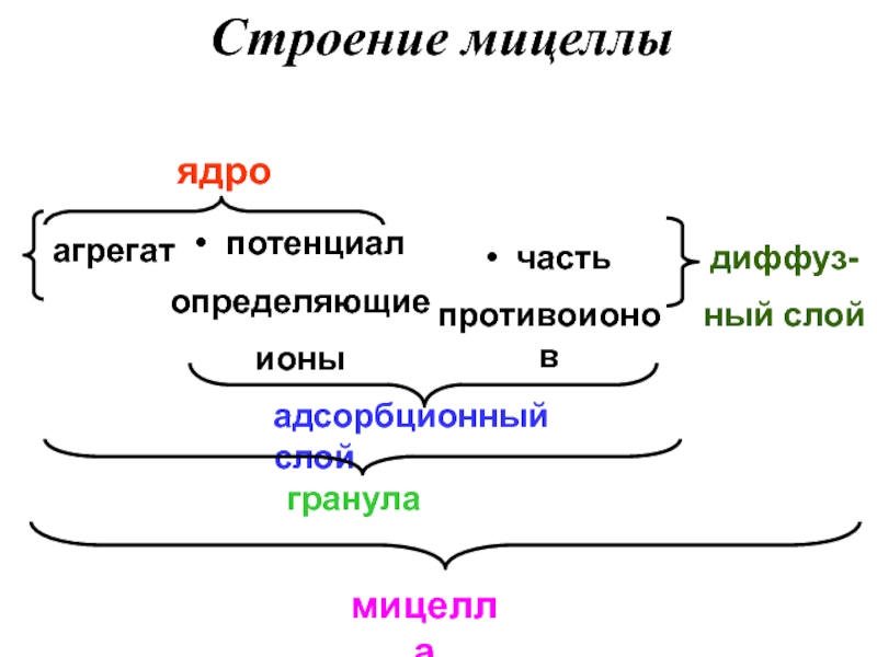 Схема строения мицеллы