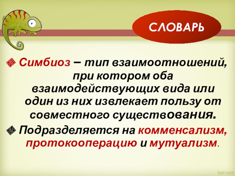 Совместный существующий. Симбиоз это Тип взаимоотношений. Виды симбиоза. Модель симбиоз в семье. Совместного сосуществования.