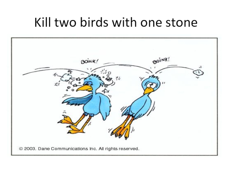 Kill bird