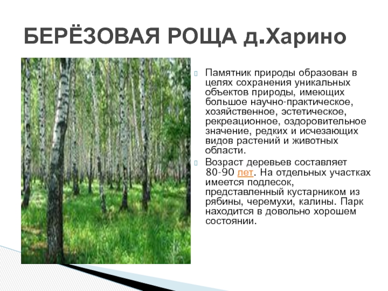 Памятники природы 3 класс. Природные памятники Владимирской области. Памятники природы Владимирского края. Интересные объекты природы Владимирской области. Уникальные природные объекты Владимирской области.