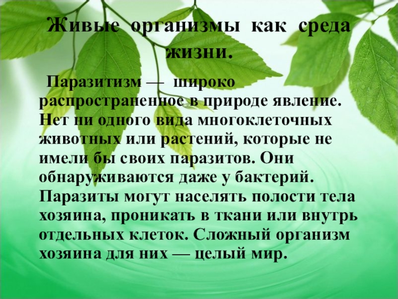 Почва среда. Почва как среда жизни. Почва как среда жизни 5 класс. Жизнь основная среда жизни растений. Викторина среда обитания.