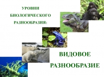 УРОВНИ БИОЛОГИЧЕСКОГО РАЗНООБРАЗИЯ: