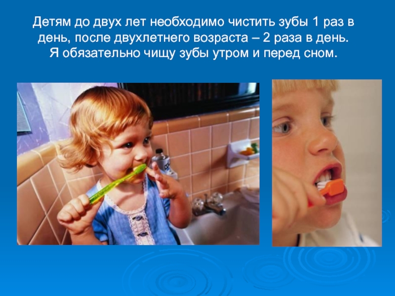 Детям до двух лет необходимо чистить зубы 1 раз в день, после двухлетнего возраста – 2 раза