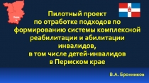 Пилотный проект
по отработке подходов по формированию системы комплексной