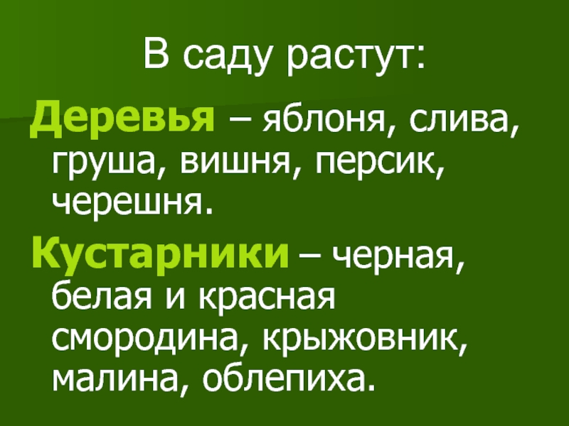 В саду растут:Деревья – яблоня, слива, груша, вишня, персик, черешня.Кустарники – черная, белая и красная смородина, крыжовник,