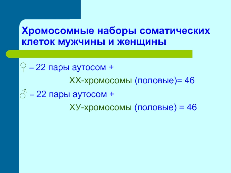 Набор хромосом содержит в. Хромосомный набор соматических клеток мужчины содержит. Хромосомный набор половых клеток мужчины. Хромосомный набор половых клеток мужчины содержит. Хромосомный набор половых клеток.