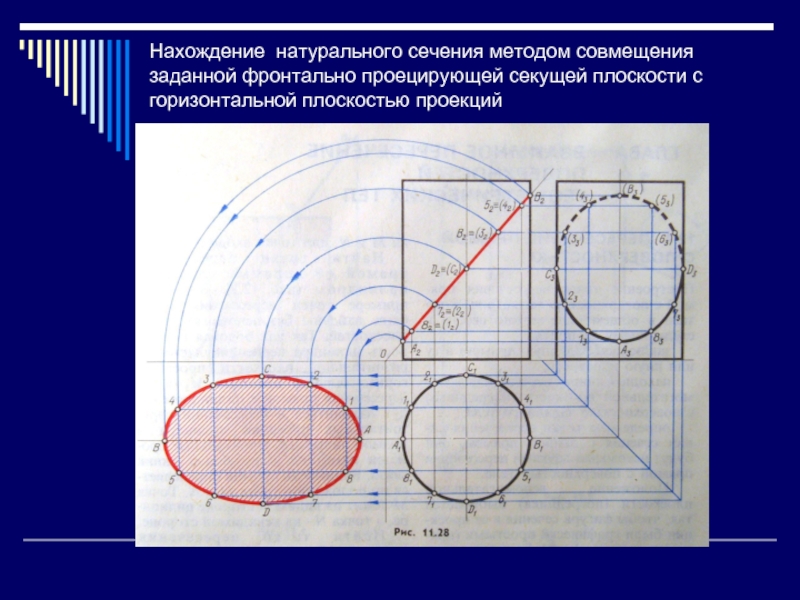 Чертеж изображающий на плоскости какую нибудь местность