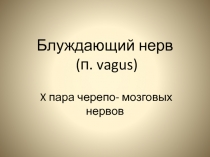 Блуждающий нерв  (п. vagus)   X пара черепо- мозговых нервов