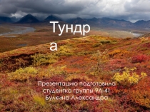 Тундра
Презентацию подготовила студентка группы 9Л-41
Булкина Александра