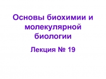 Основы биохимии и молекулярной биологии