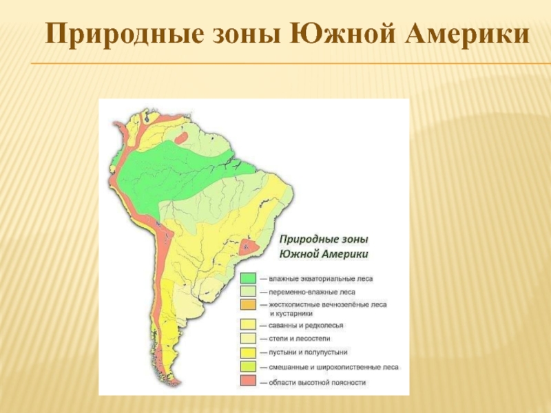 План характеристики природной зоны южной америки