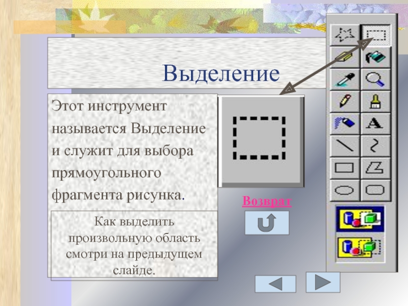Инструменты выделения растрового редактора. Какой инструмент служит для выделения фрагмента произвольной формы. Уроки векторной графики. Для выделения фрагмента произвольной формы произвольного. Инструменты Paint названия.