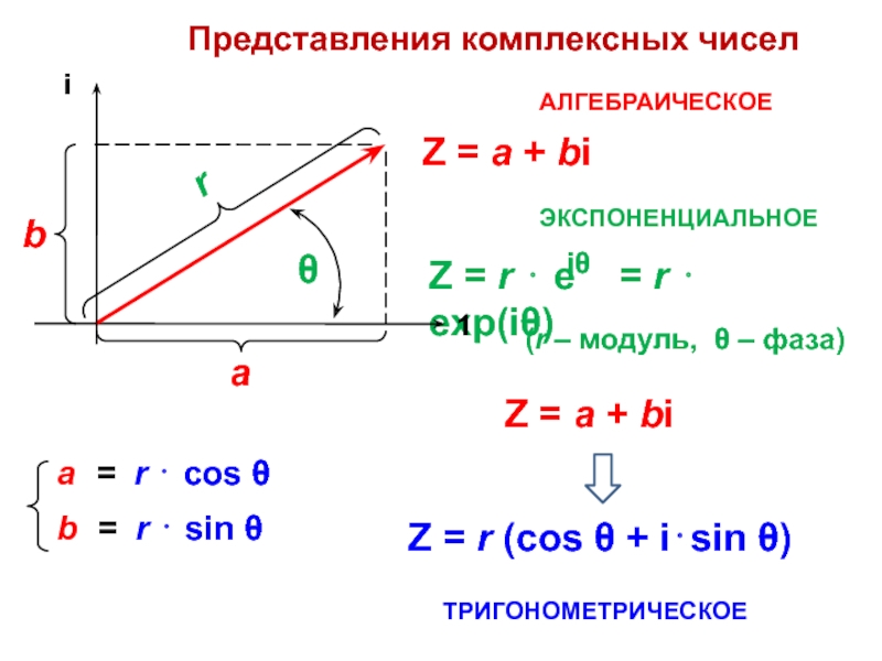 Представить комплексное число. Формы представления комплексных чисел. Представление комплексного числа. Модуль и фаза комплексного числа. Фаза комплексного числа.