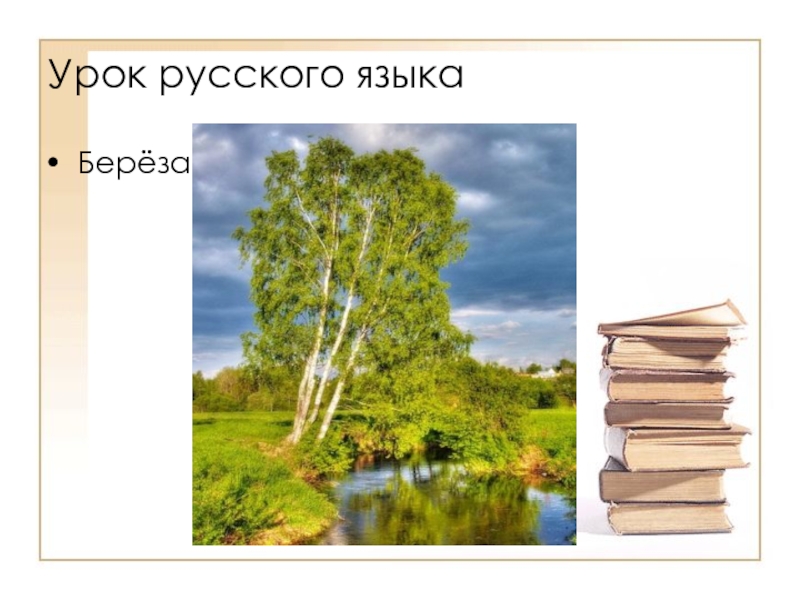 Урок астафьев весенний остров 4 класс. Разработка урока. В П Астафьев и березы. Презентация Астафьев березы. Добрая береза.