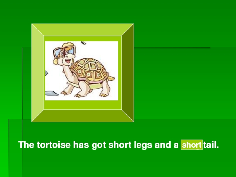 Tortoises have got long Legs. Перевод Tortoises have got long Legs. I have got a Tortoise. 1 A Dog can/has got a long Tail.