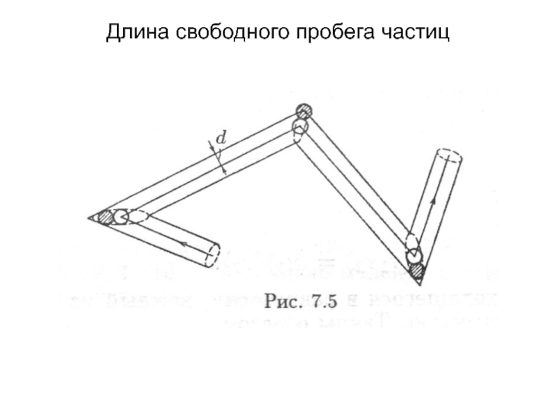 Свободной длины