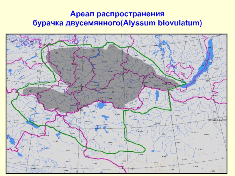 Месторождение прогнозное