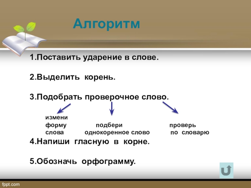 Выделить корень поставить ударение. Заря проверочное слово.