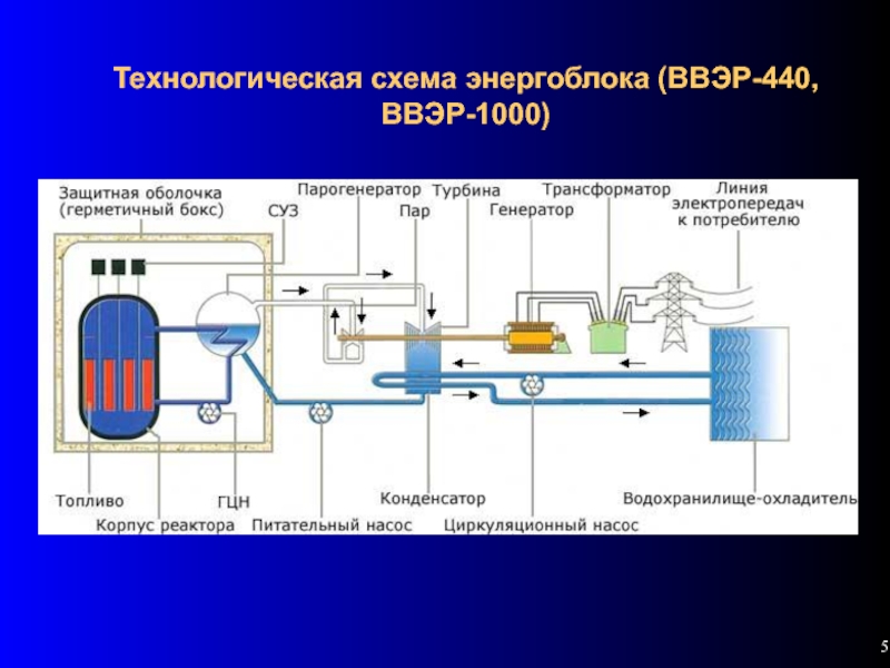 Схема реактора ввэр 1000