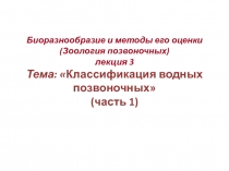 Биоразнообразие и методы его оценки (Зоология позвоночных) лекция 3 Тема: