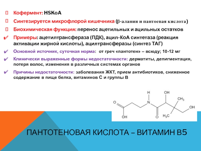 Презентация витамин b5