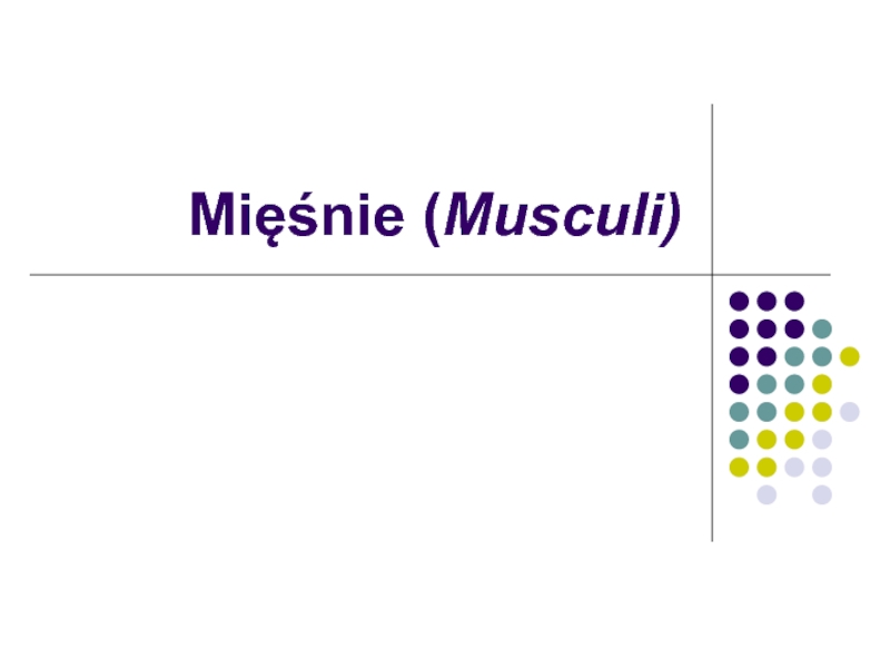 Mięśnie ( Musculi)