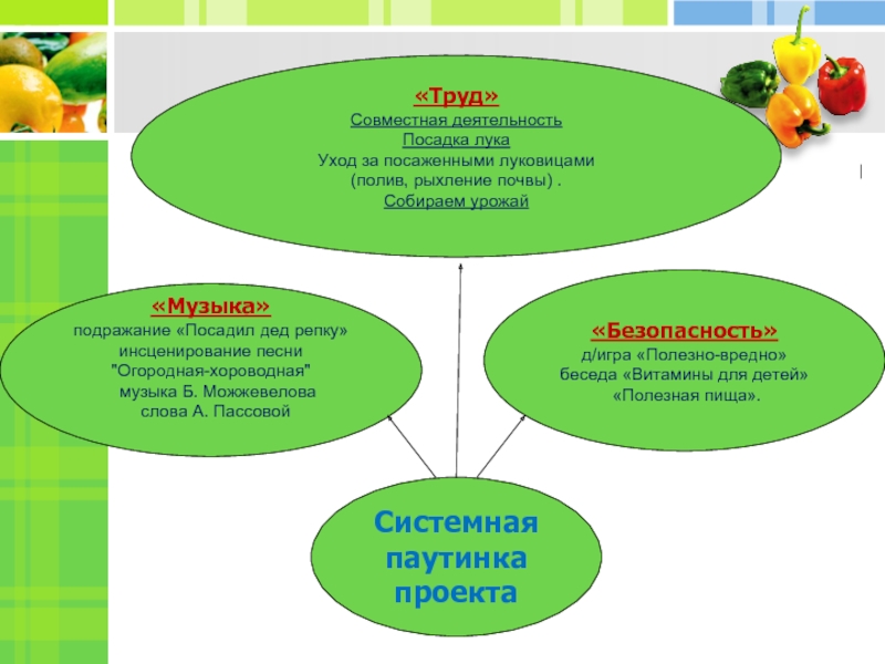 Паутинка к проекту