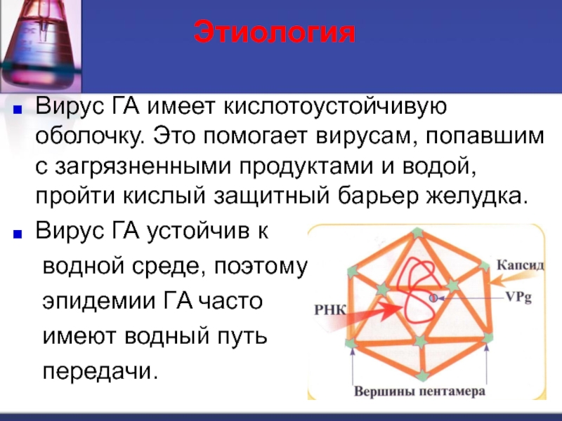 Вирус помоги. Кислотоустойчивые вирусы. Вирус помоги мне. Кислотоустойчивые продукты.