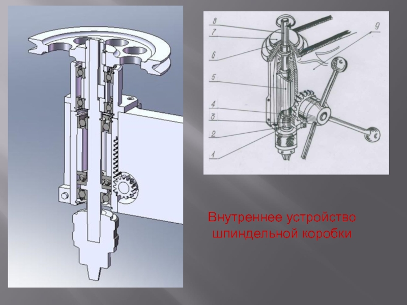Внутренние конструкции. Шпиндельный узел вертикально-сверлильного станка. Конструкция шпиндельного узла сверлильного станка. Устройство Вн. Устройство шпиндельной коробки сверлильного станка.