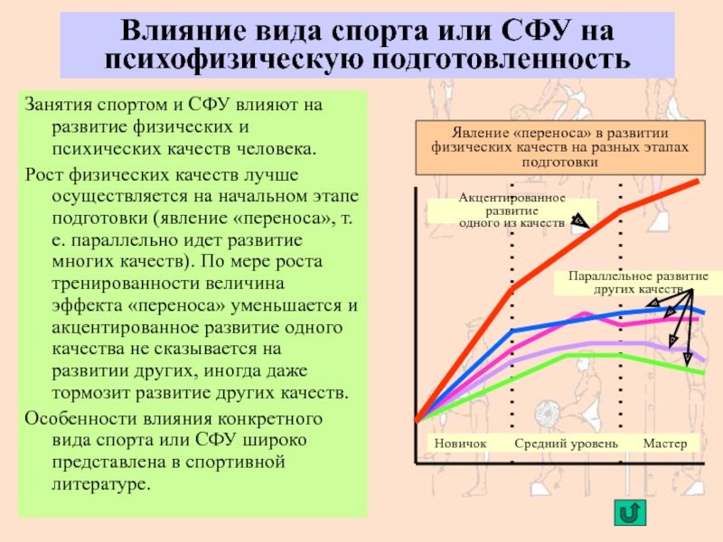 Особенности занятий избранным видом спорта или системой физических упражнений презентация