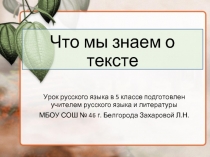 Урок русского языка 5 класс «Что такое текст»