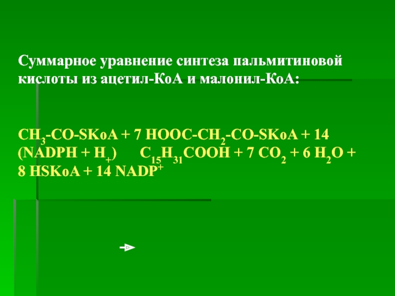 Уравнение синтеза. Суммарное уравнение синтеза пальмитиновой кислоты. Суммарное уравнение биосинтеза пальмитиновой кислоты. Суммарное уравнение синтеза. Синтеза пальмитиновой кислоты из ацетил-КОА И малонил-КОА:.