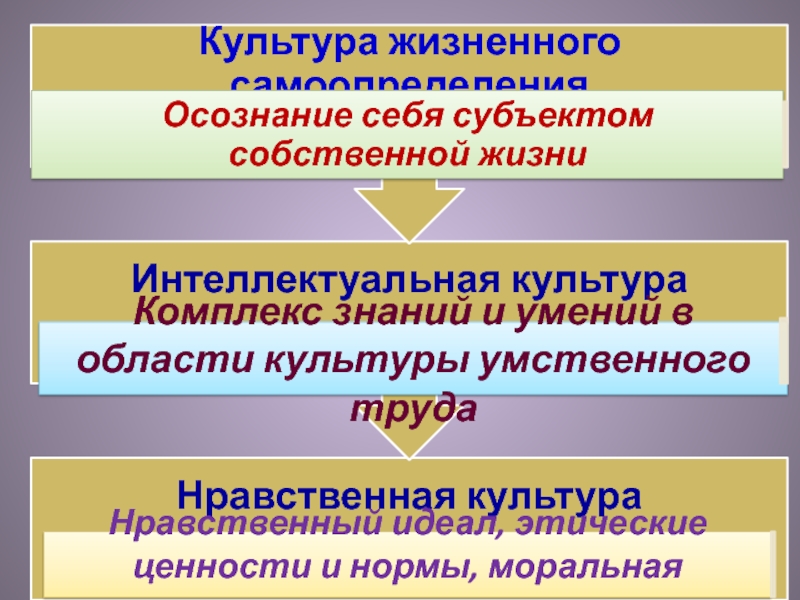 Компоненты базовой культуры личности