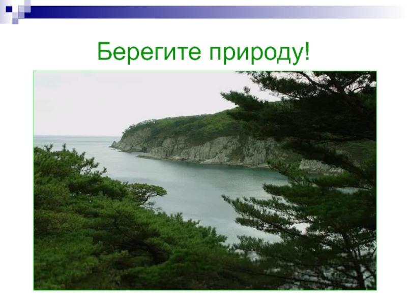 Дальневосточный морской заповедник 4 класс окружающий мир. Дальневосточный заповедник презентация 4 класс. 4. Дальневосточный морской заповедник. Дальневосточный морской заповедник презентация 4 класс.