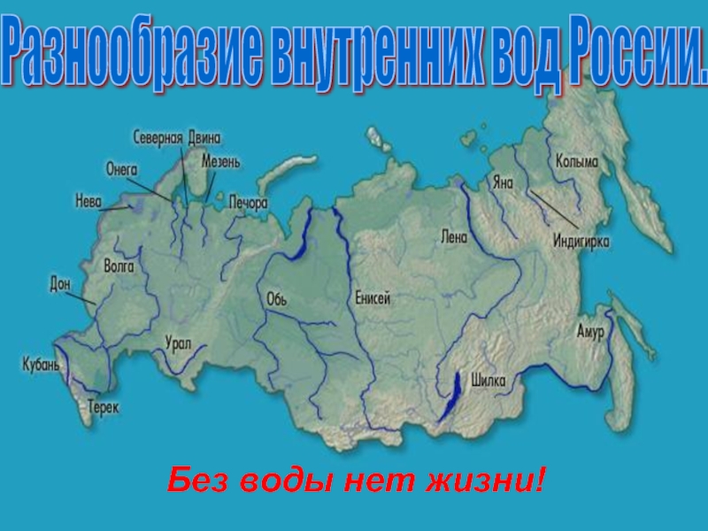 Разнообразие внутренних вод России