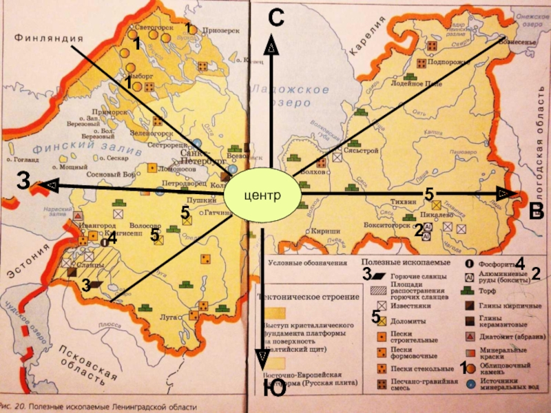 Карта полезных ископаемых ленинградской области карта
