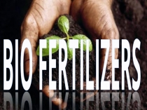 BIO FERTILIZERS