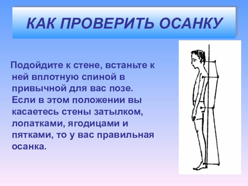 Что называется осанкой. Проверка правильной осанки. Правильная осанка у стены. Как понять осанку. Как правильно проверить осанку.