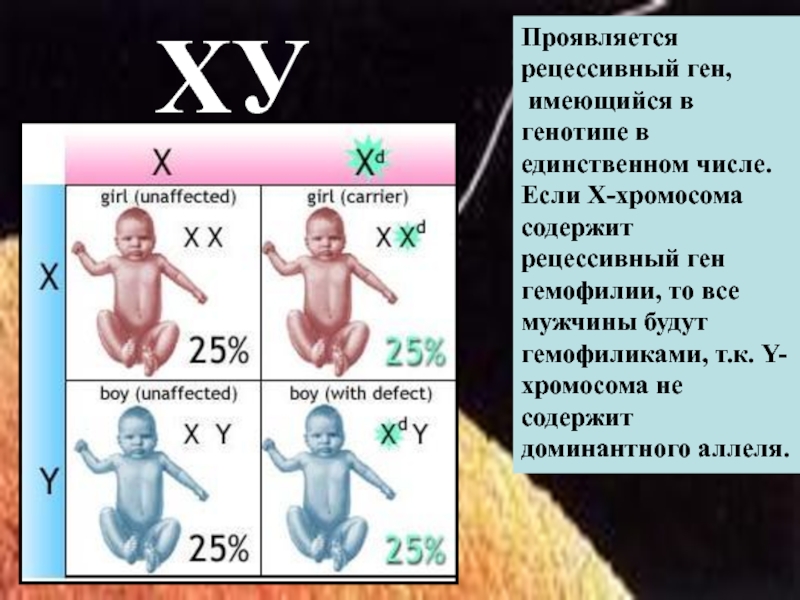 Рецессивный ген это. Рецессивный ген проявляется. Рецессивный ген на хромосоме. Чем характеризуется рецессивный ген?. Гигантопитеки рецессивный ген.