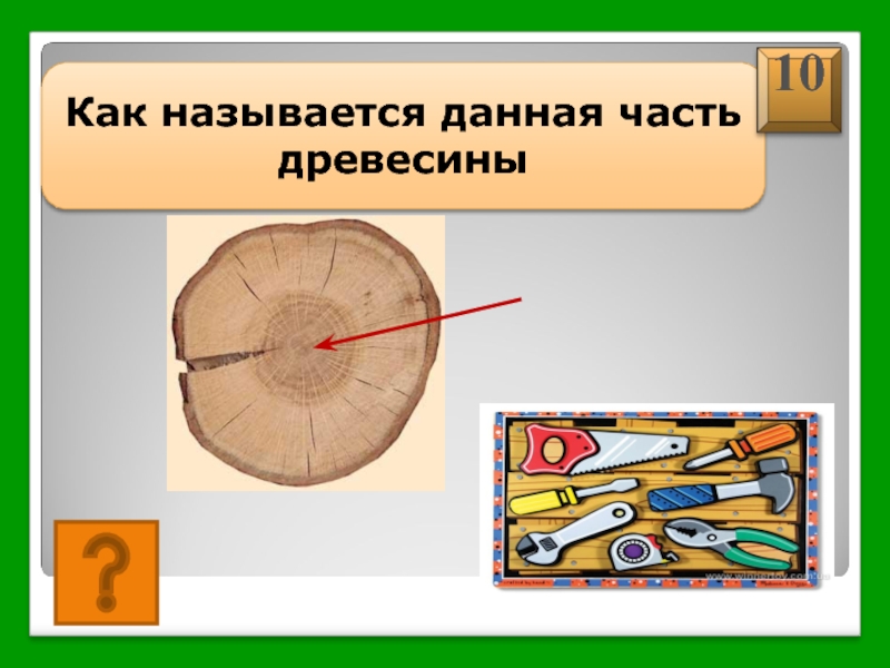 Как называется данный. Как называется данная часть древесины. Как называется эта часть древесины. Как называется данная техника урок технологии. Как называется сердцевина динамика.