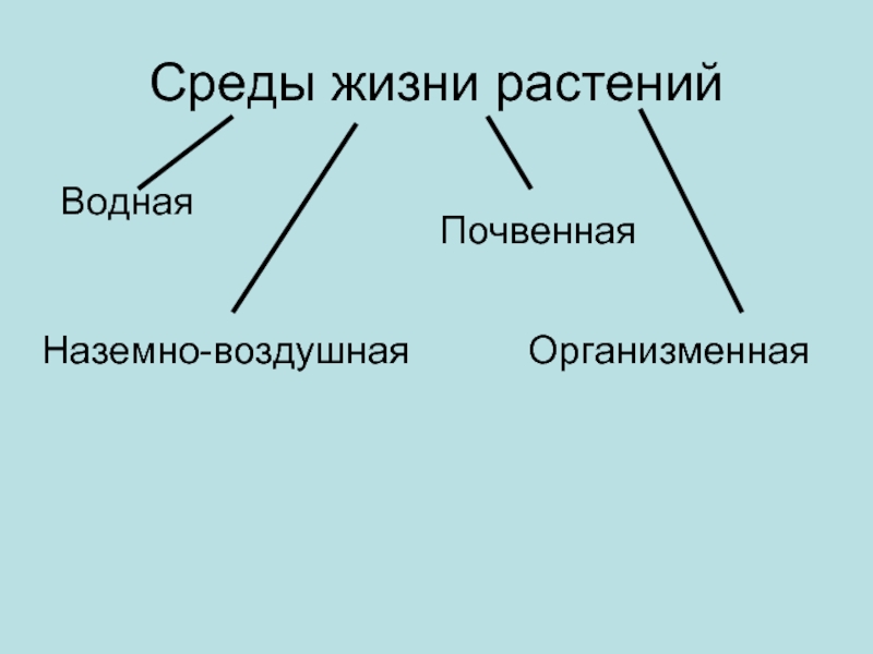 4 среды жизни. Среды жизни растений. Почвенная среда жизни растения. Теплопроводность почвенной организменной водной наземно-воздушной. Способы размножения на организменном уровне.