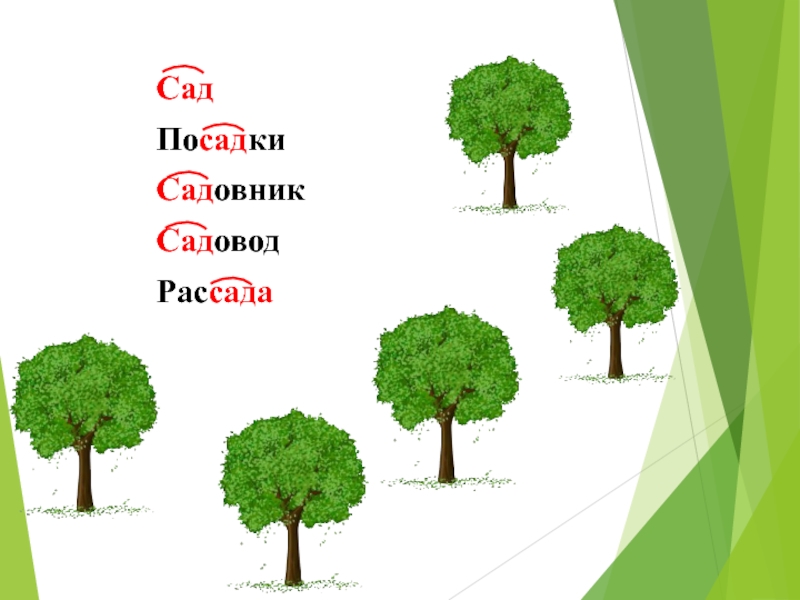 Сад однокоренные. Родственные слова сад. Дерево слов сад. Дерево с однокоренными словами сад. Родственные слова к слову сад.