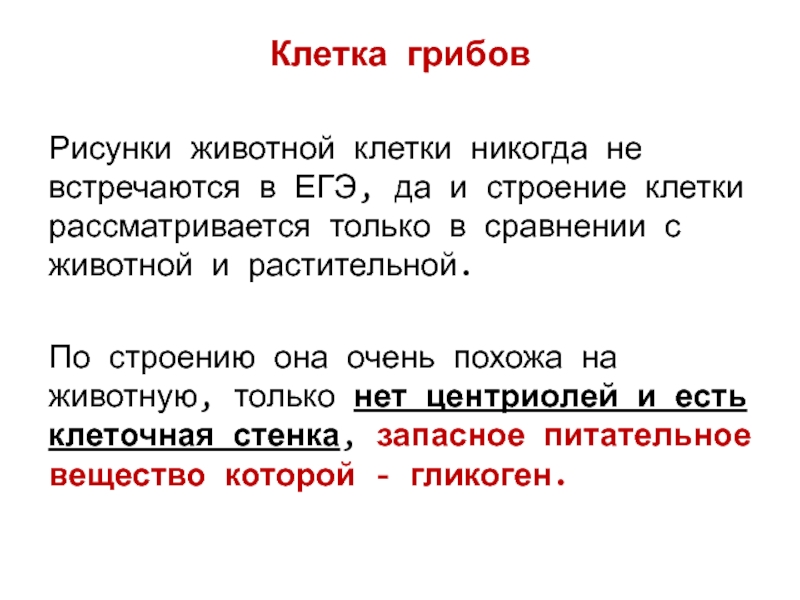 Клетка грибов Рисунки животной клетки никогда не встречаются в ЕГЭ, да и строение клетки рассматривается только в