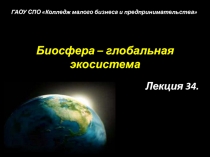 Биосфера – глобальная экосистема