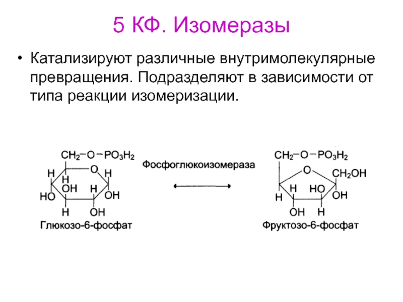 Какой фермент катализирует реакцию