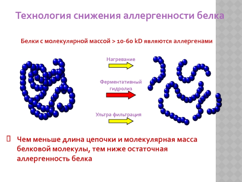 Формы белковых молекул. Молекула белка. Молекулярная масса белка. Молекулярная масса белков.