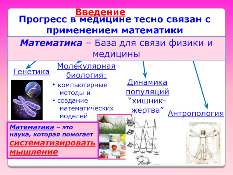 Проект математика в медицине 10 класс