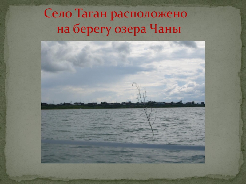 Таган область. Озеро Чаны Таган. Озеро Чаны Новосибирская область. Озеро Чаны берег. Озеро Чаны дамба.